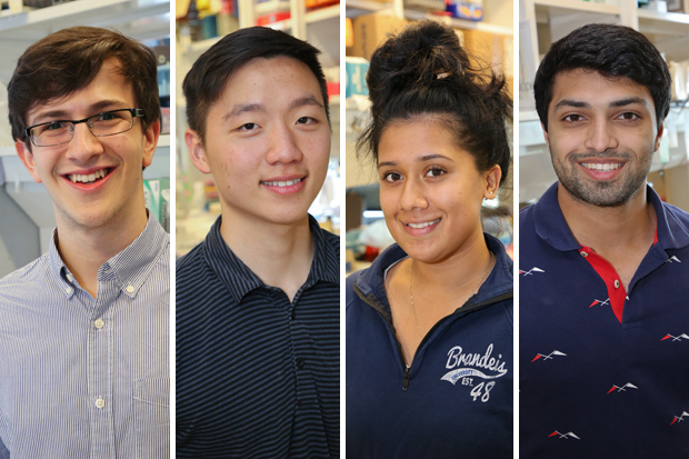 Four undergraduate students who currently work in Michael Rosbash's lab