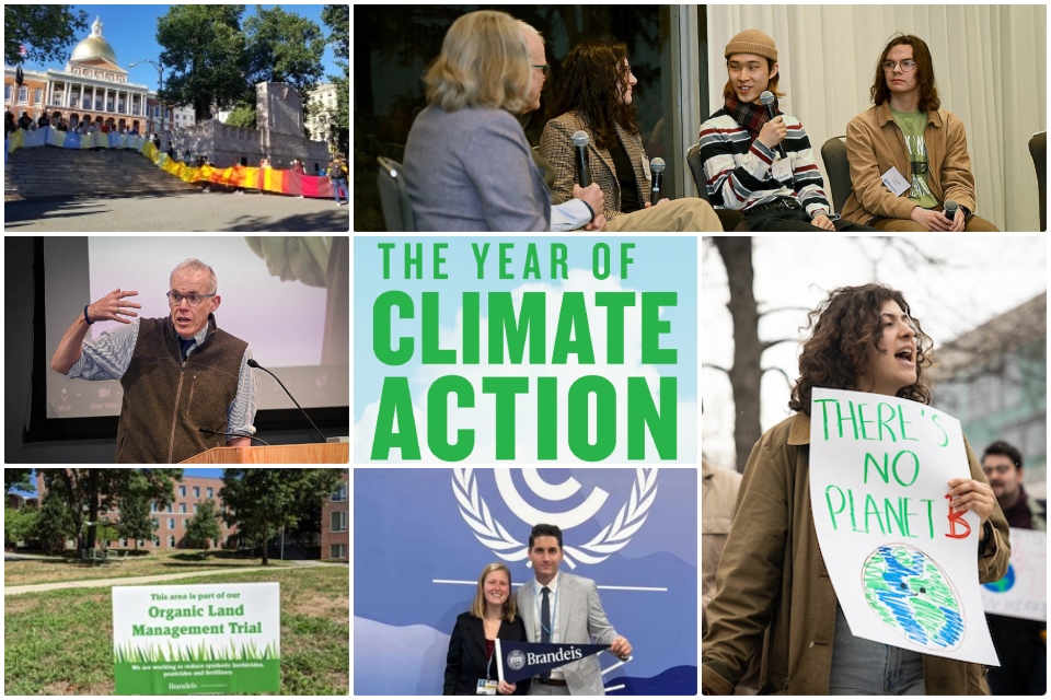 Grid with images from year of climate action