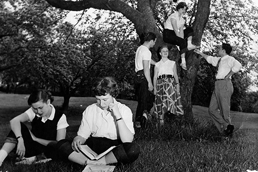 Black and white archival image of past Brandeis students talking and reading beneath a tree.