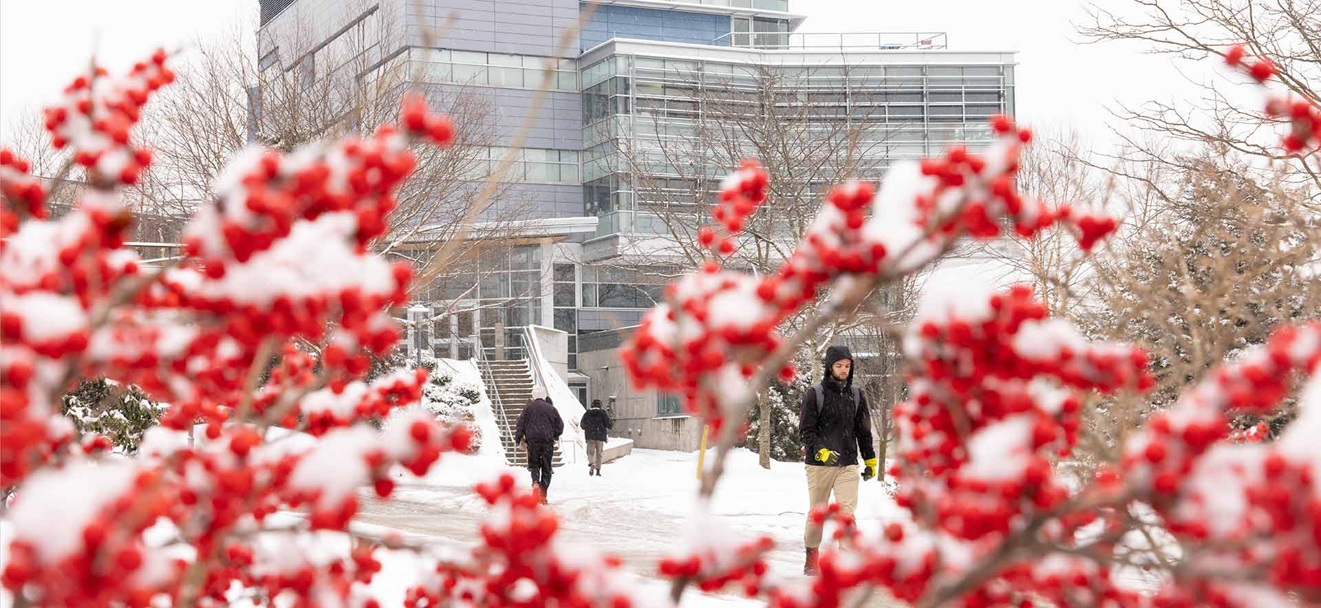 Brandeis Stories Brandeis University   Snow Home Hero 