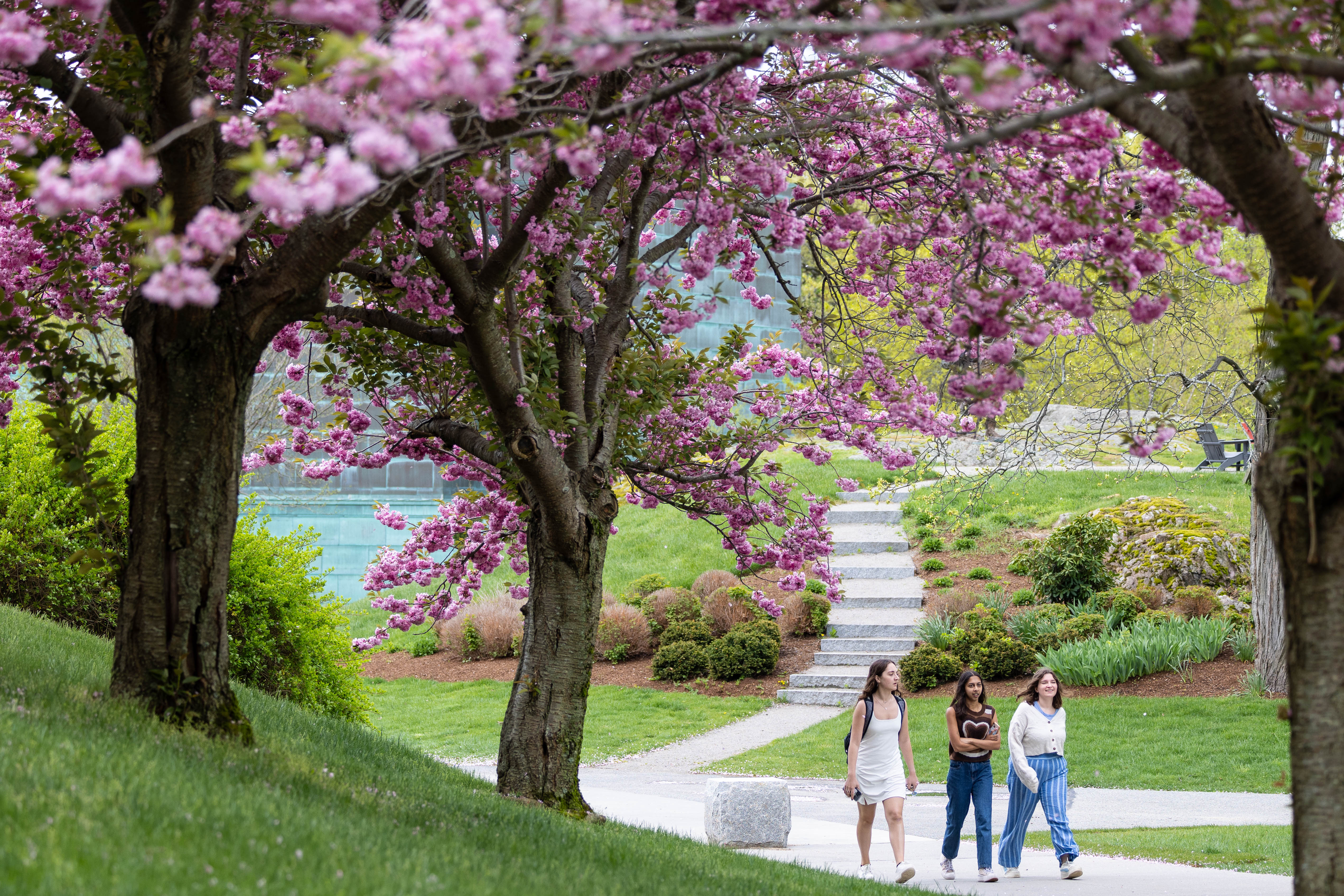 students walking on campus
