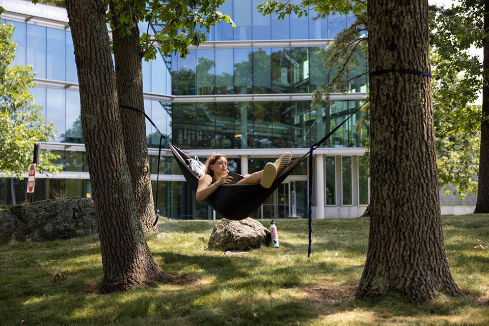 A student relaxes in a hammock on the Brandeis campus.