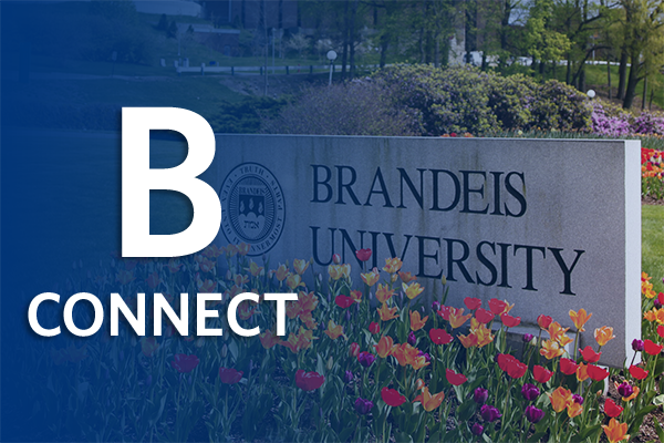 Brandeis International Business School