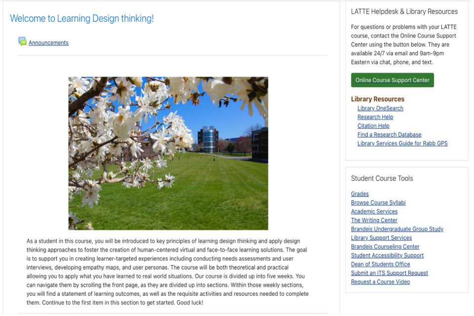 A webpage with an image of the Brandeis campus reads, "Welcome to Learning Design Thinking!"