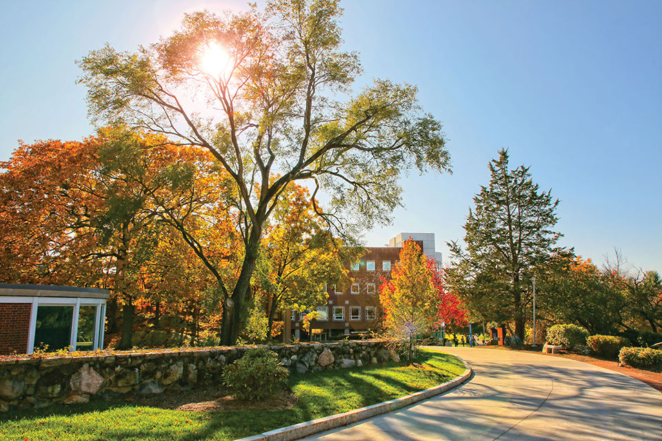 The Brandeis campus on a sunny fall day