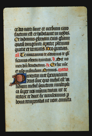 Page 14r, a page filled with black letter text with a large illuminated "D," some couterspaces of capital letters are colored yellow, and a few words are inked in red.