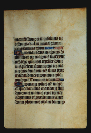 Page 21r, containing a dense block of blackletter text, with some illuminated letters and two decorative elements.