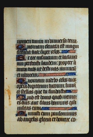 Page 23r, containing a dense block of blackletter text, with 5 illuminated initial letters, and four horizontal ornaments that fill the spaces following the end of a sentence. 