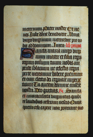 Page 26v, containing a dense block of blackletter text, with an  illuminated initial letter "S" and 3 red words on the page.