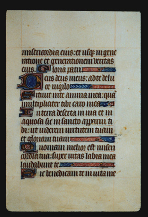 Page 31r, containing a dense block of blackletter text, with 6 illuminated initial letters, and several horizontal ornaments that fill the space following the end of a sentence. 