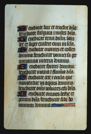 Page 33v, containing a dense block of blackletter text, with 7 illuminated initial letters.