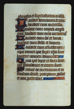 Page 34v, containing a dense block of blackletter text, with 6 illuminated initial letters, and two horizontal ornaments that fill the space following the end of a sentence. 