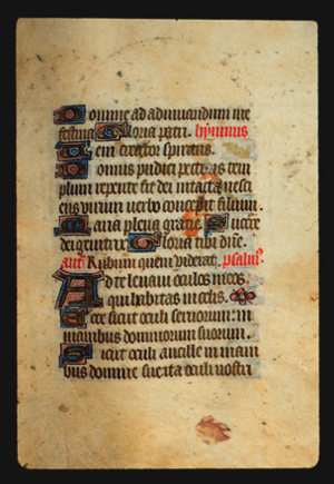 Page 53r, containing a dense block of blackletter text, with 10 illuminated initial letters, one of them a letter"A" that is much larger than the rest, a floral ornament, and several red words. 