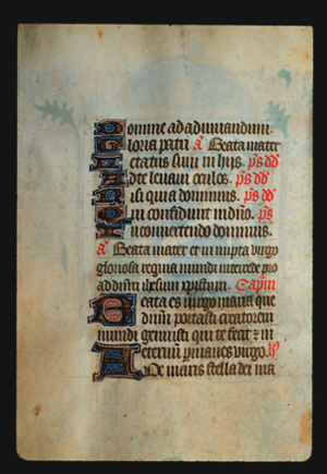 Page 61v, containing a dense block of blackletter text, with 9 illuminated initial letters and several red inked words. 