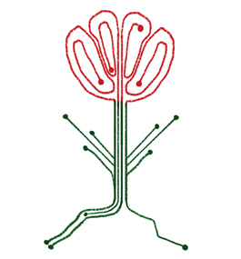 An illustration of a tulip drawn with lines that look like computer circuits