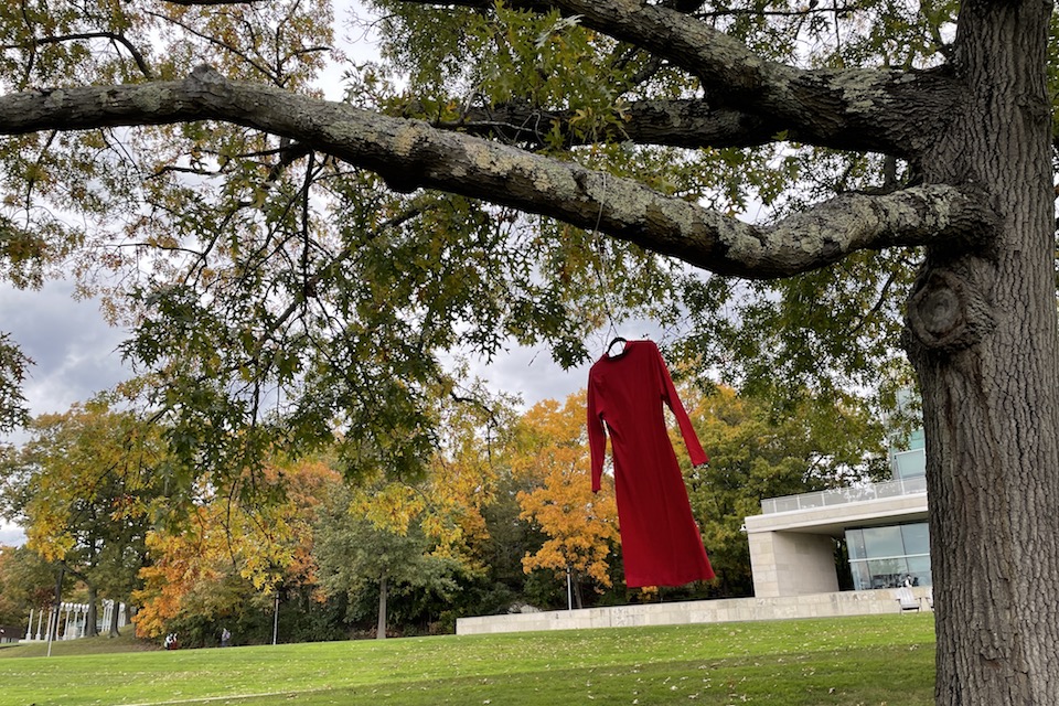 A red dress hanging on a tree
