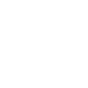 Brandeis University seal