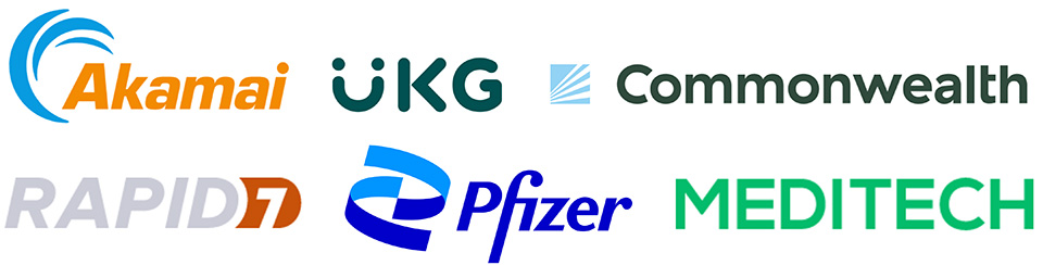 Logos of companies who have partnerships with Brandeis Online