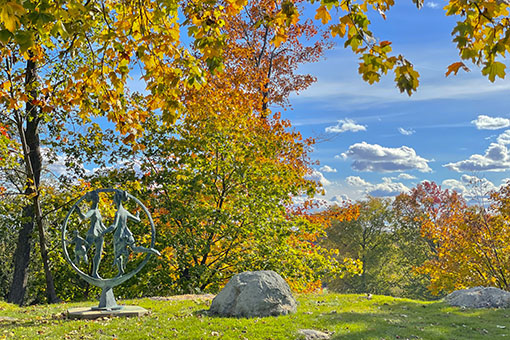 image of Brandeis in the fall