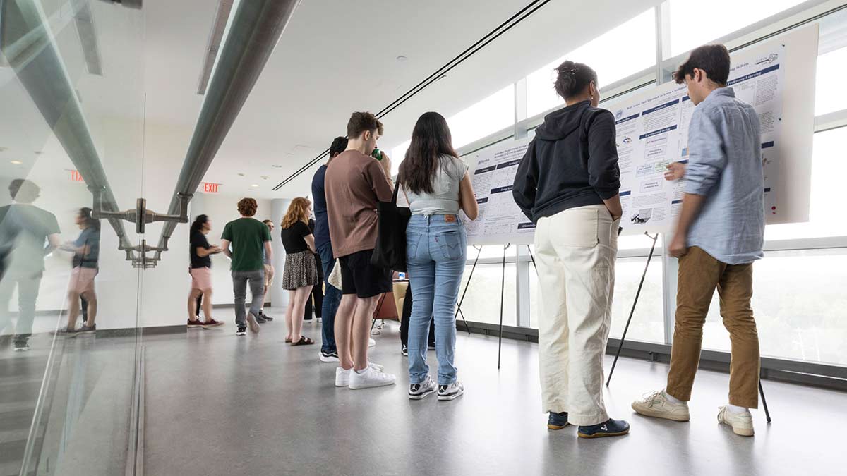 students view project posters presented at SciFest