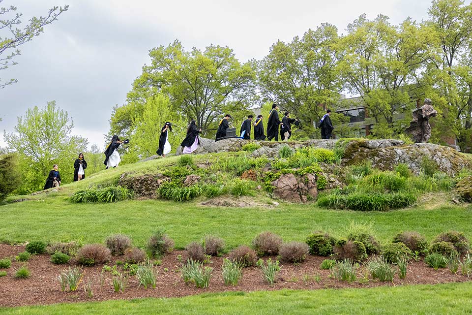 A line of graduates dressed in Commencement attire walk over a grassy hill on campus.