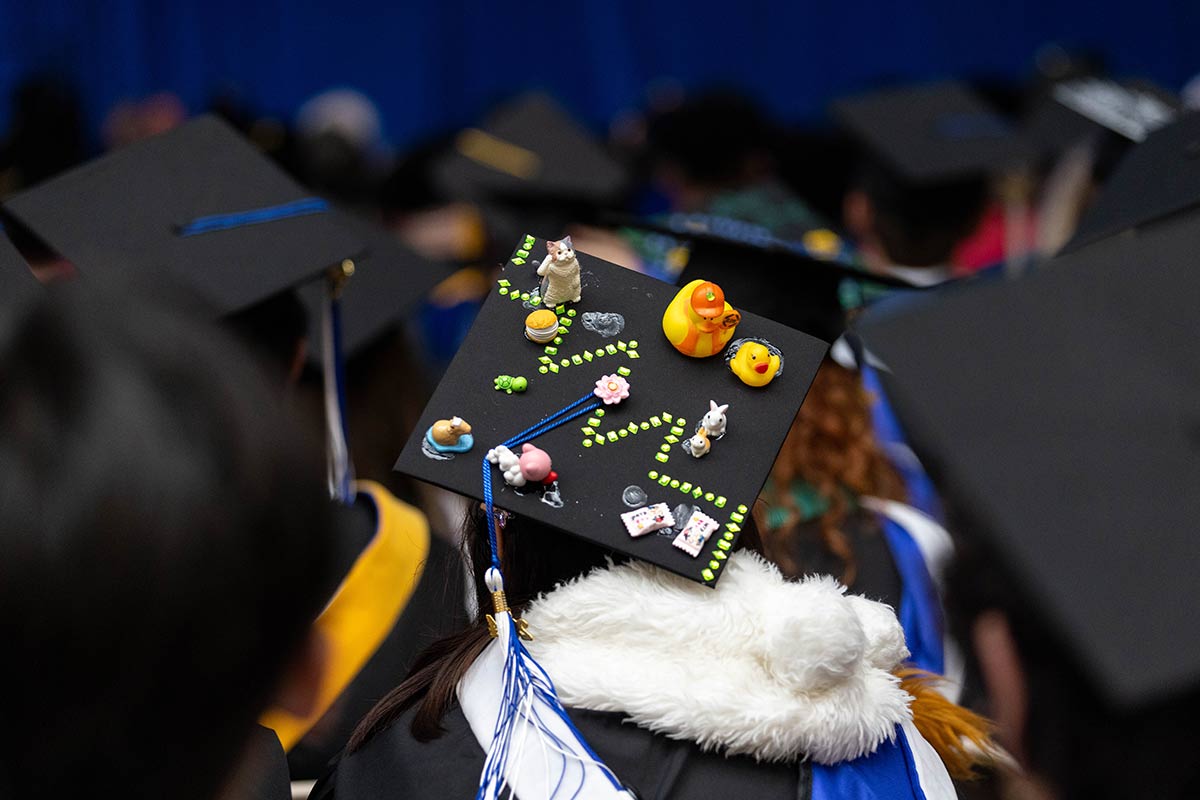 A mortarboard decorated with rubber ducks and small animal figurines.