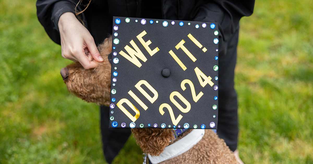 A dog wearing a mortarboard that reads: We did it 2024