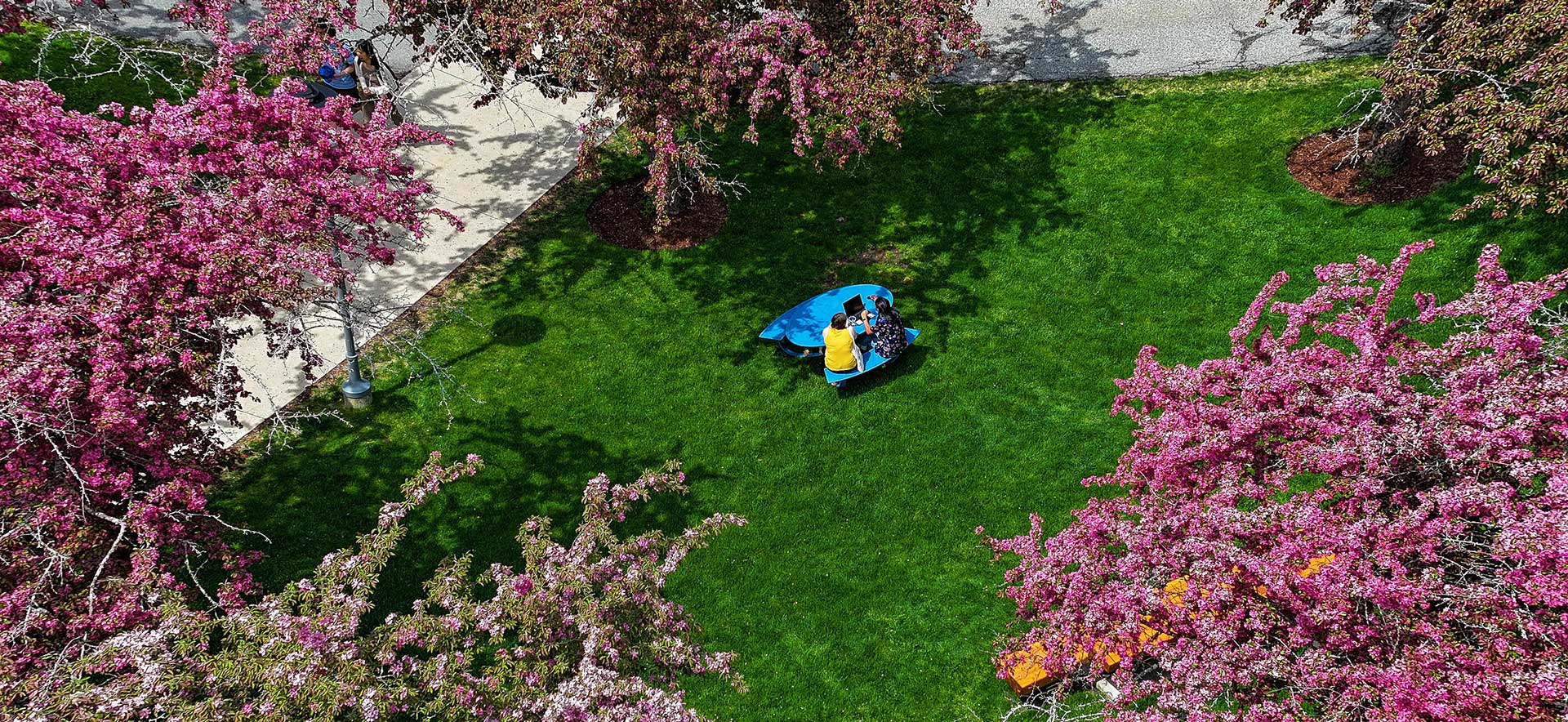 An aerial view of a students sitting at a table in Fellows Garden surrounded by blossoming cherry trees.