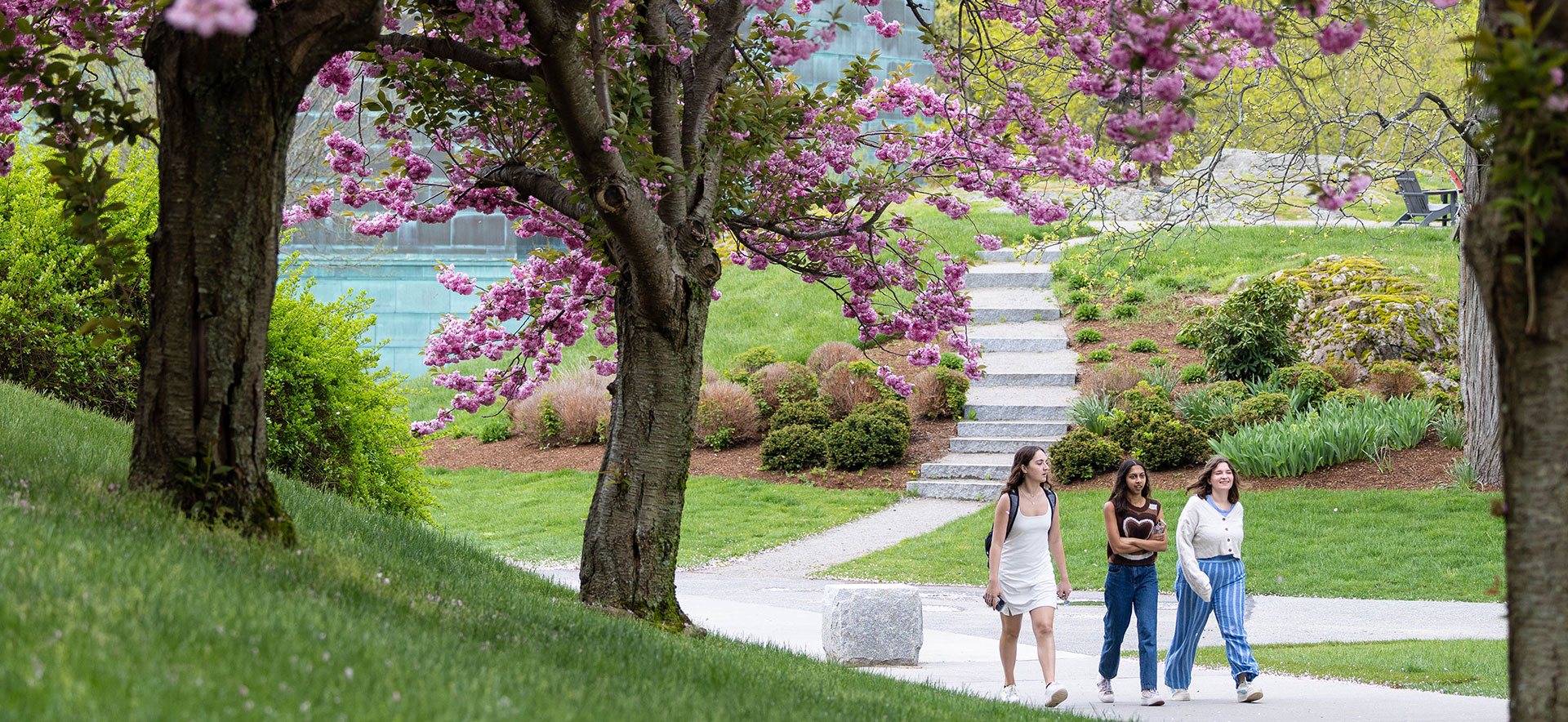Three students walk on campus on spring day.